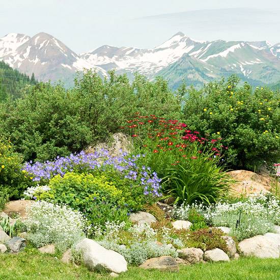 Alpine Garden Planning