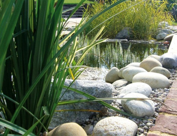 Aqua plants Garden stones decoration elements natural pool