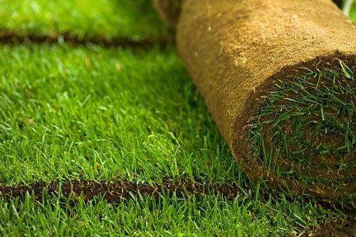 Artificial grass planting affordable design