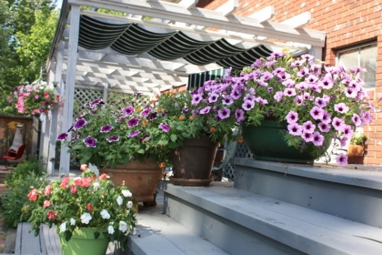 Balcony Garden Flower pots system space enlarge