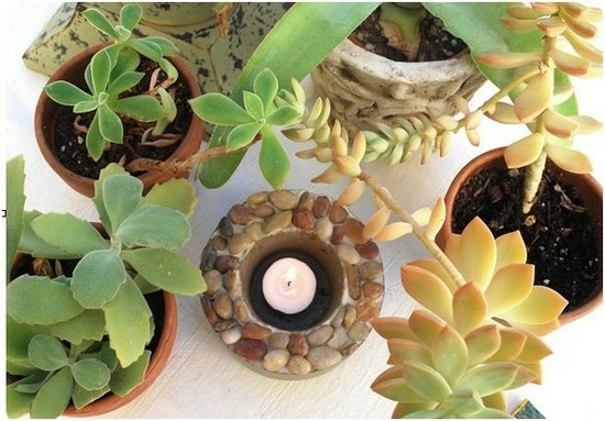 Candles plants DIY home decoration ideas