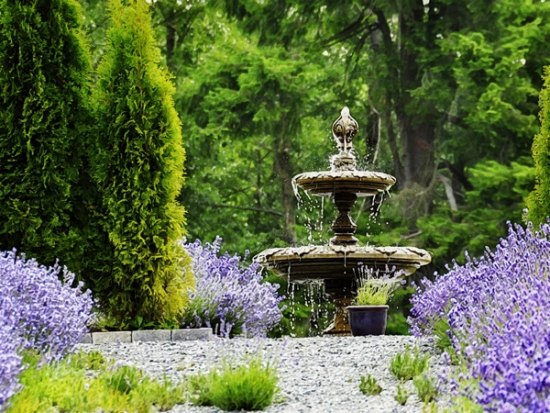 Classic water fountain gardening ideas