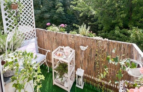 DIY Balcony privacy protection lattice ivy wooden railing