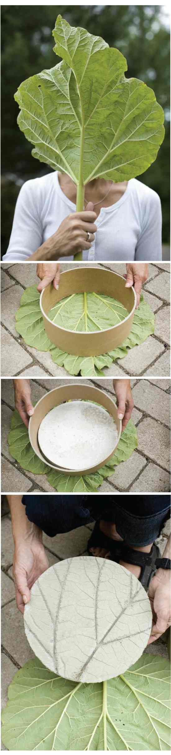 DIY concrete tree leaf shapes
