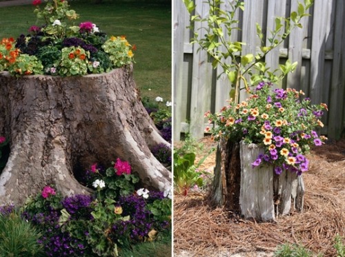 Decorating ideas with tree trunk elements in interior flower pot 