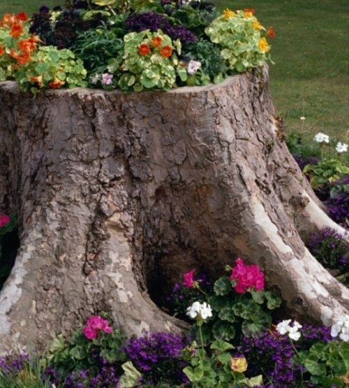 Decorating ideas with tree trunks planted flowers