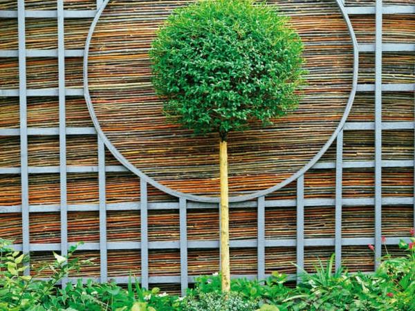 Feng Shui garden Bonsai Tree Bamboo privacy fence