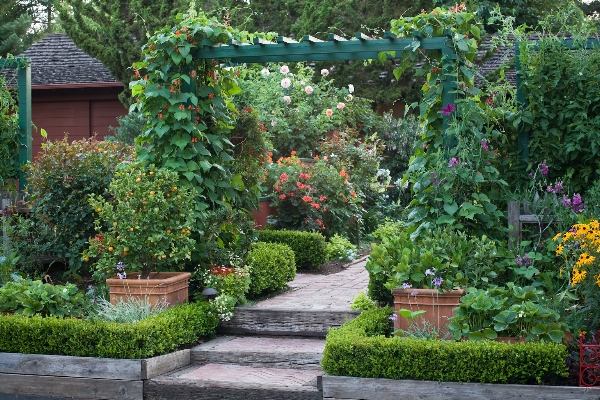 garden path pavers pergola
