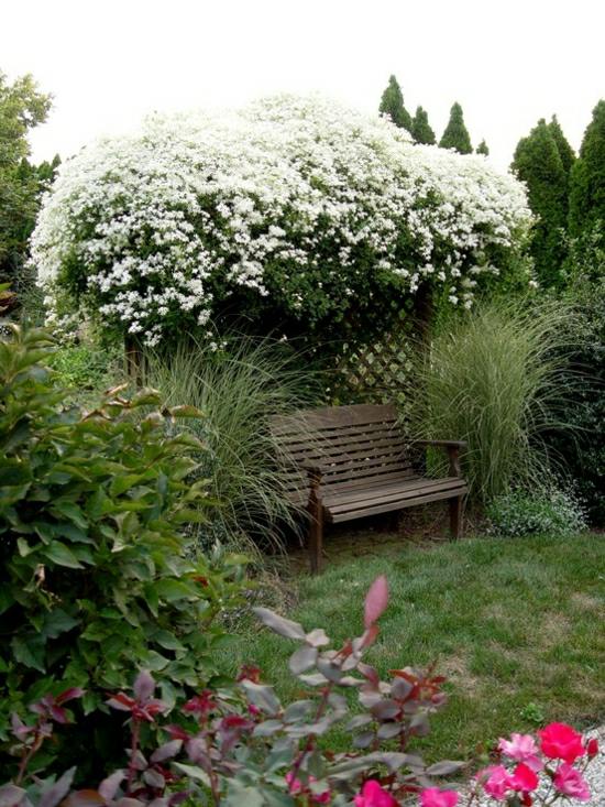 Garden pergola hedge plants design ideas