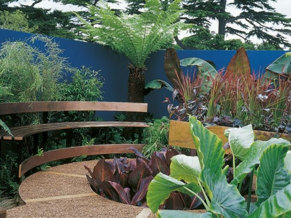 Garden wall blue plant privacy fence idea