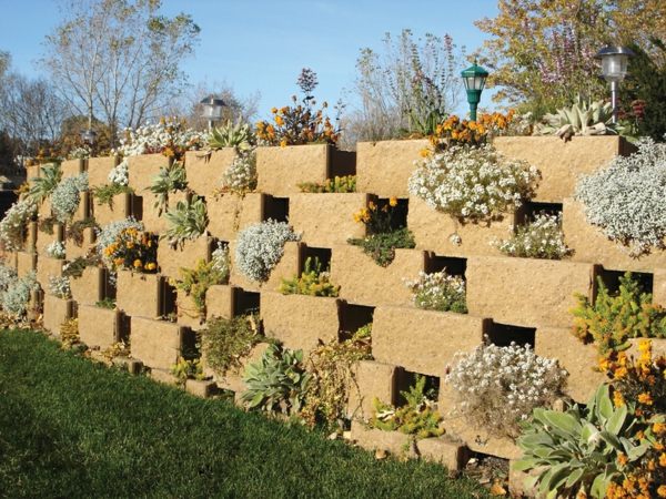 Garden wall design ideas plants