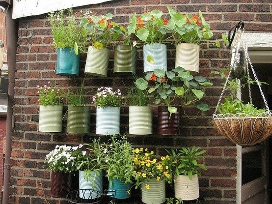 Green wall design flower pots