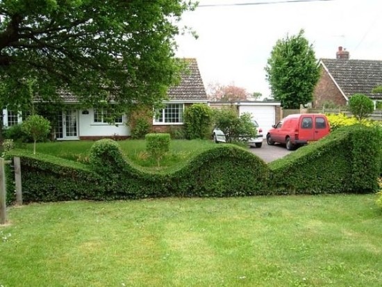 Hedge cutting ideas sections