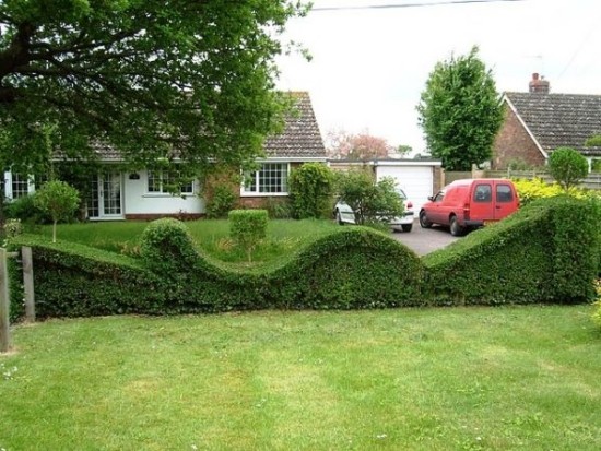 Hedge-cutting-ideas-sections