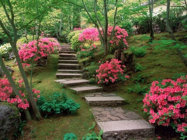 Japanese garden path stone slabs bushes