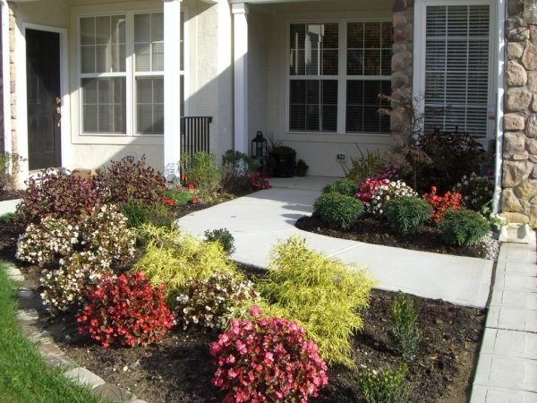 Landscaping front yard design shrubs and herb plants