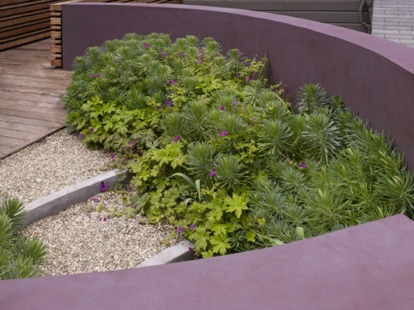 Natural Stone Wall purple color plants patio design