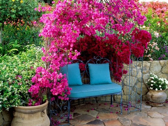 Patio design pink red flower blue bench
