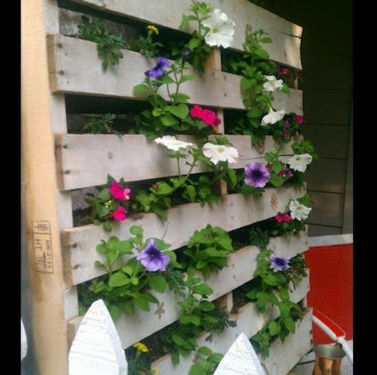 Plant Containers wooden pallet racks