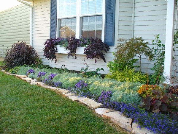 Plants for front yard landscaping ideas