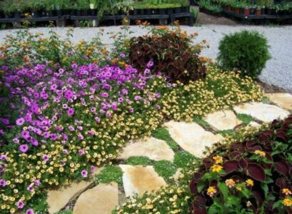 Stone-path-garden-ideas