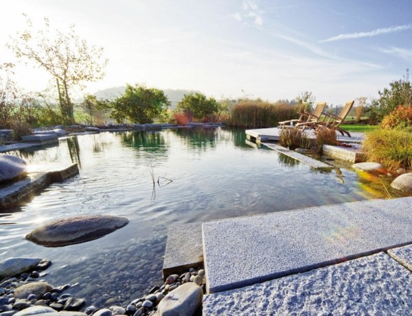 Swimming pond Modern garden Design Ideas