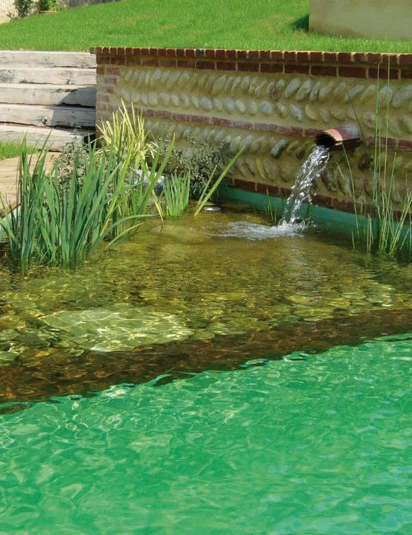 Water purification swimming pond design natural pool