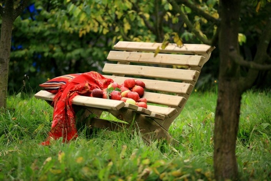 Wooden bench fruit tree garden design ideas