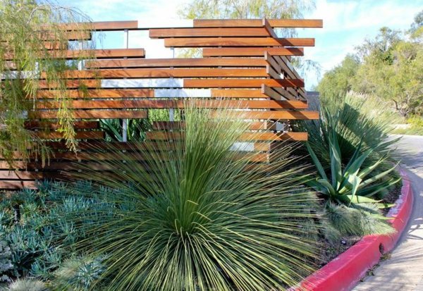 Wooden privacy fence modern garden design cacti palm trees
