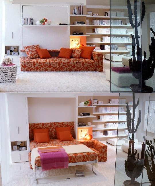 cabinet folding bed sofa combination