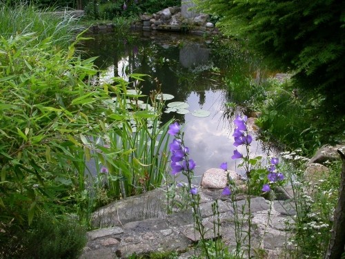 affordable garden design pond rocks
