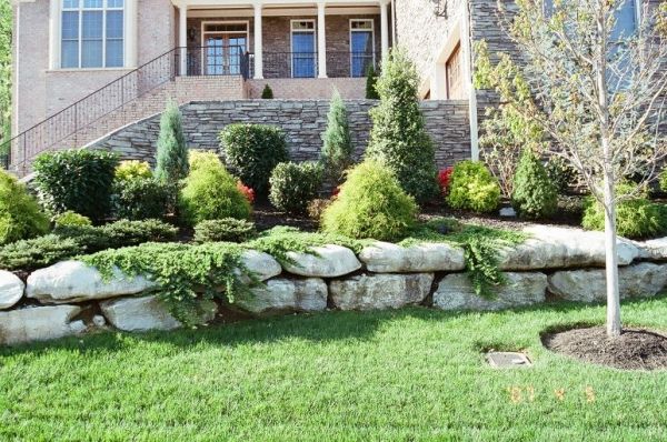 front yard design landscape planning gardening tips