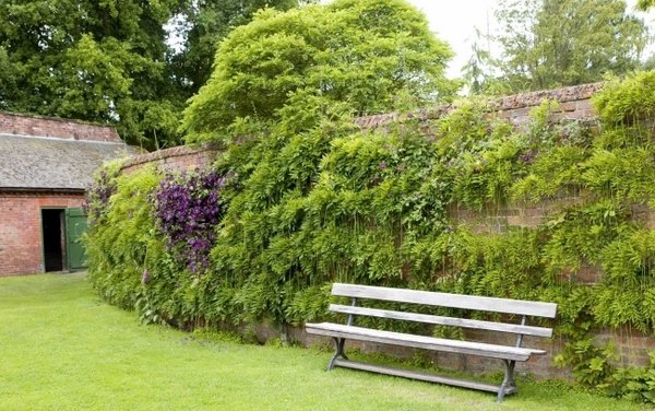 garden design wall lawn bench