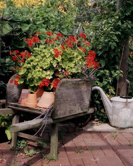 garden wheelbarrow wood decoration flowers