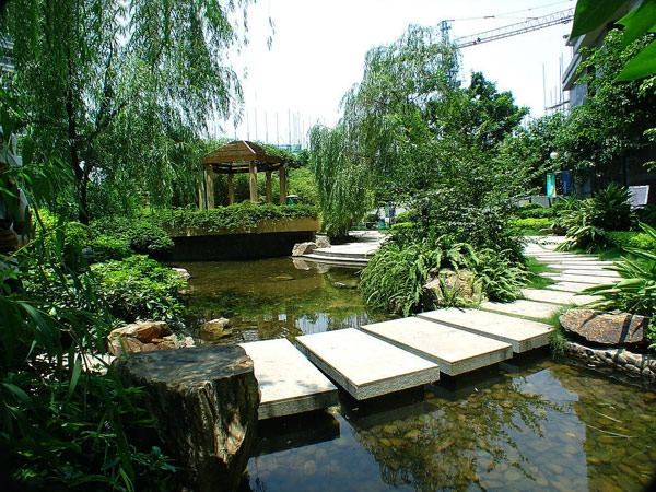 garden-pond-concrete-stepping-stones