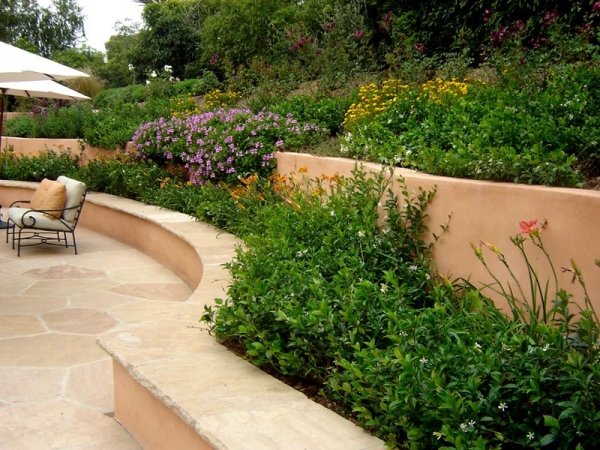 garden privacy protection ideas trees raised flowerbeds