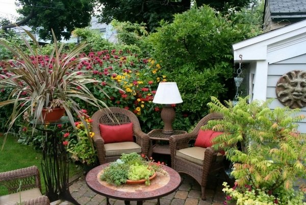  privacy protection perennials mini garden on the table