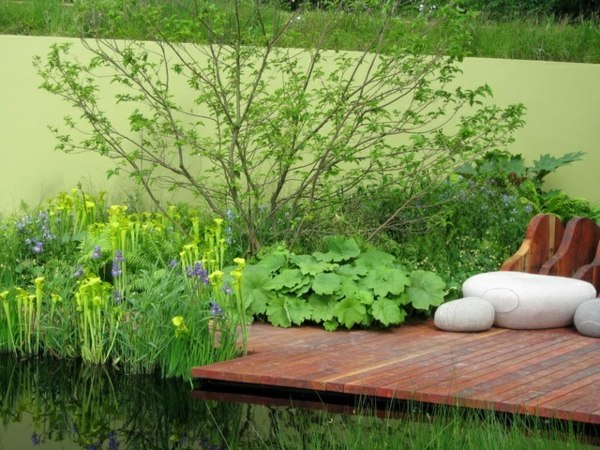 green wall pond wooden deck