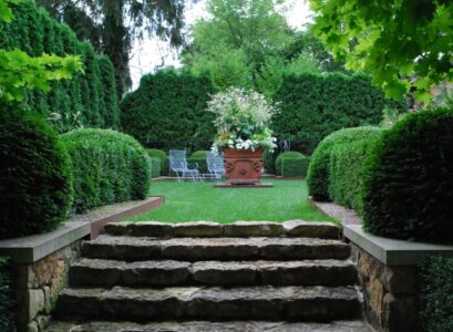 hedge-growing-tips-ideas