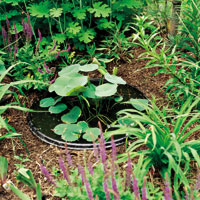 mini garden pond mortar-bucket cover plants