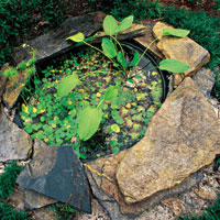 mini garden pond mortar bucket stone slabs plant