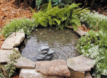 mini-pond-garden-mortar-bucket-camouflage-plant-selection