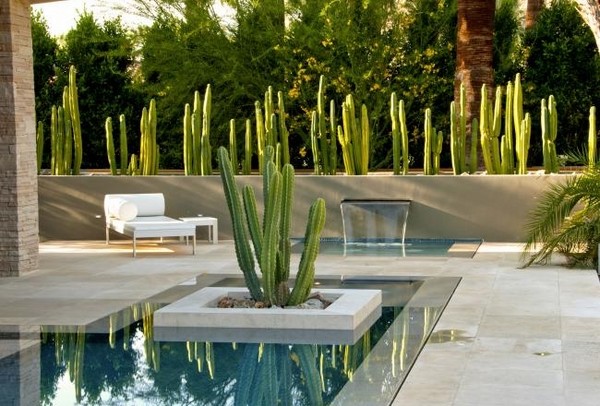 patio design ideas functional water fountain cacti fence