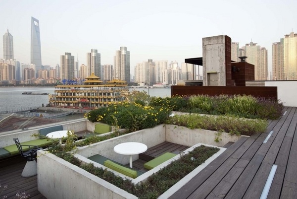 roof balcony concrete borders shrubs