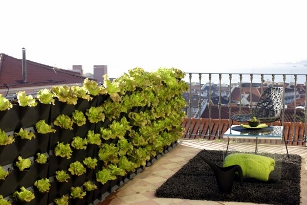 roof balcony vertical garden privacy fence combination