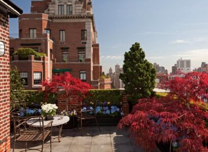 roof-terrace-design-dwarf-trees-plants