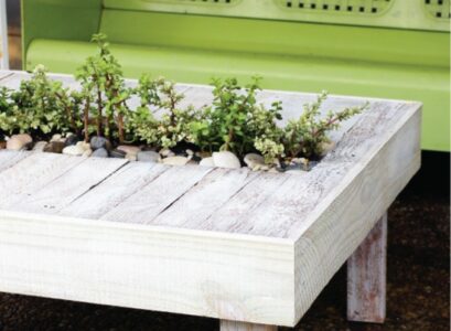 table-from-wooden-pallets-plants-home-crafts-ideas