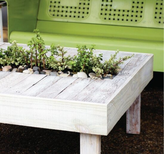 table-from-wooden-pallets-plants-home-crafts-ideas