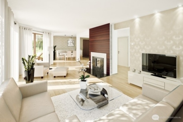 white living room open living areas