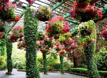 wooden pergola-blinds-green-planting